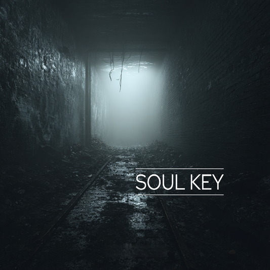 Melodic House Vocal Sample Pack