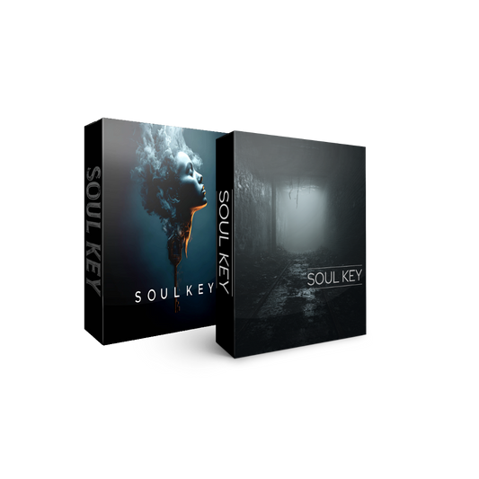 Melodic House & D&B Vocal bundle
